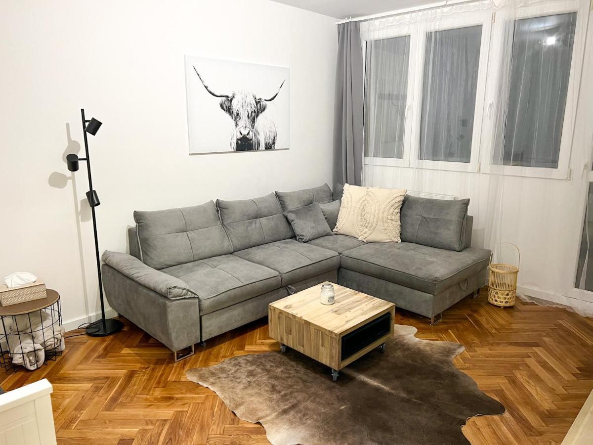 Apartman Visek Jáchymov Exterior foto